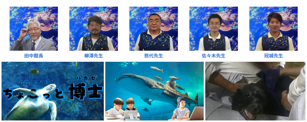 自宅と海の仲間をつなぐポータルサイト 日本デジタル水族館が公開