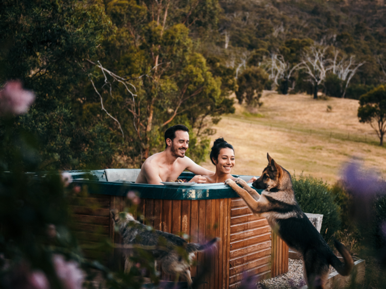 Escape to regional Vic at this dog-friendly home