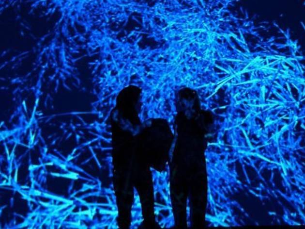Música: Antarctic Takt (Planetario) Música: Antarctic Takt (Planetario)