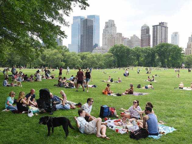 Picnic in NYC park Picnic in NYC park