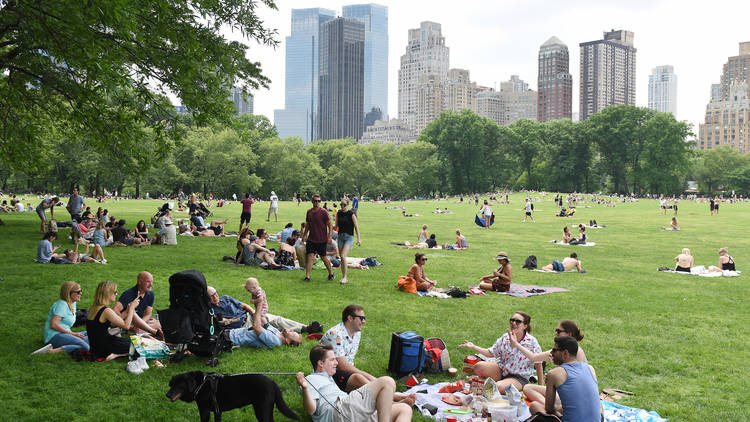 Picnic in NYC park