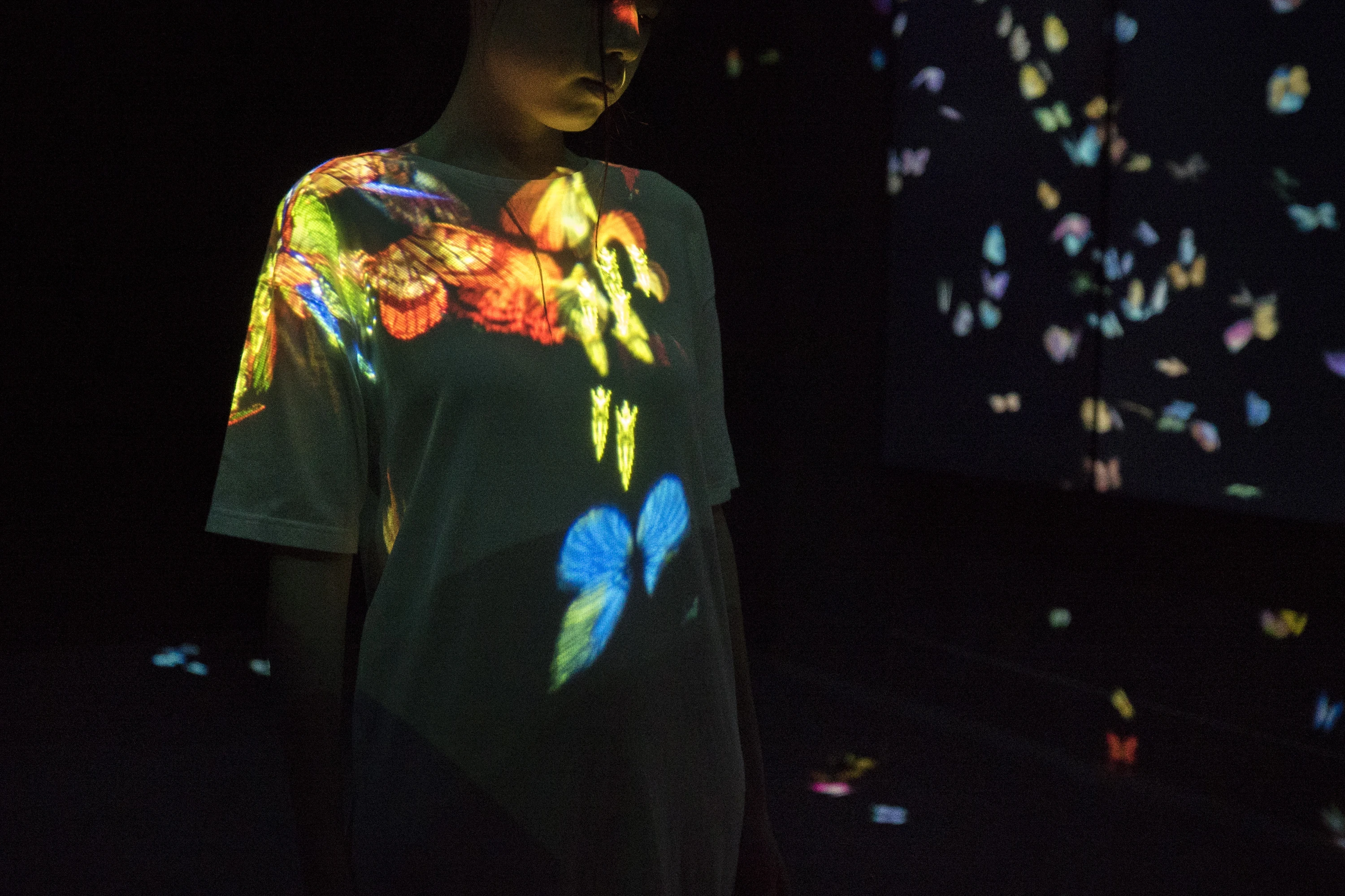 チームラボ ボーダレス