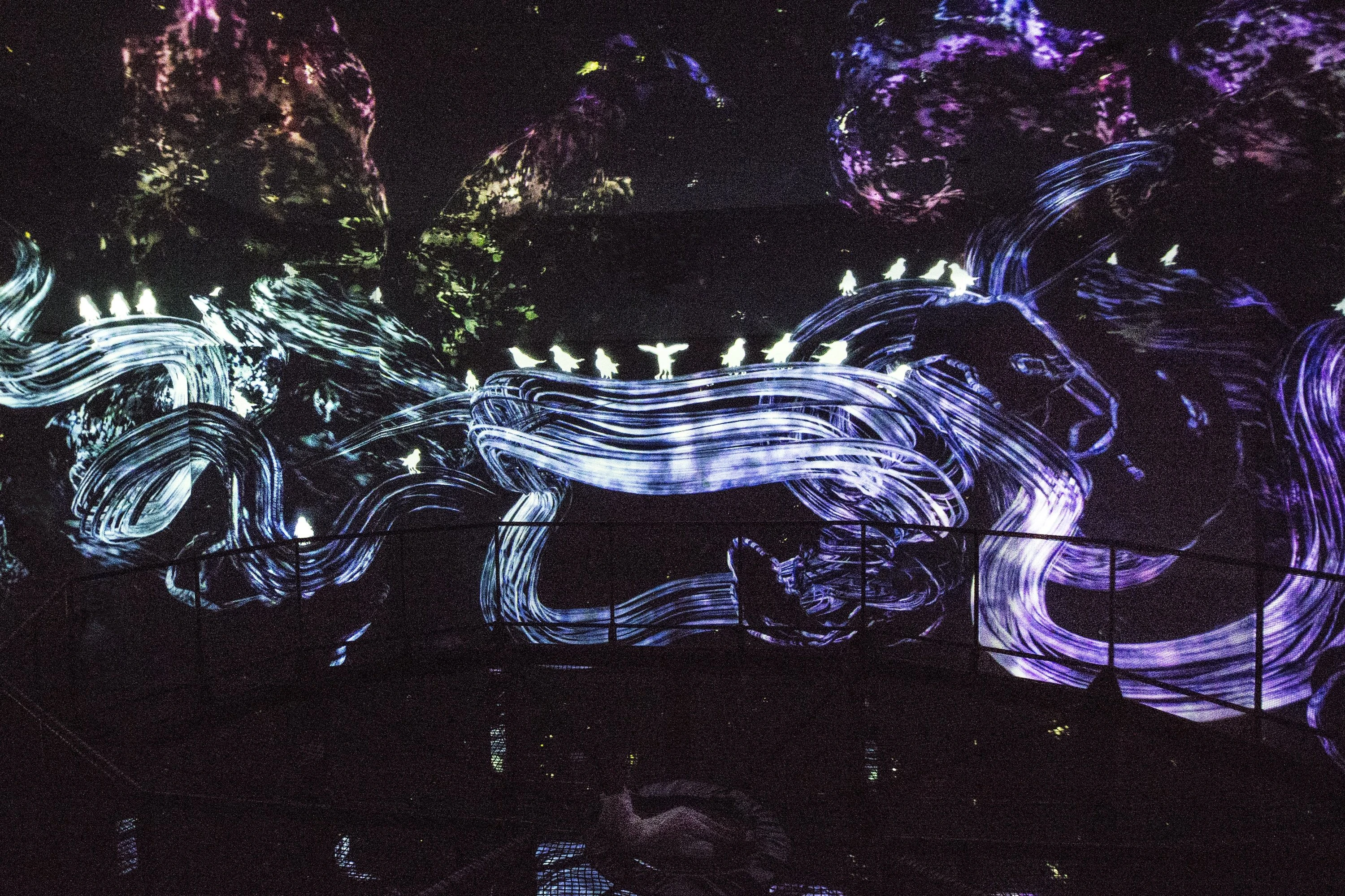 チームラボ ボーダレス