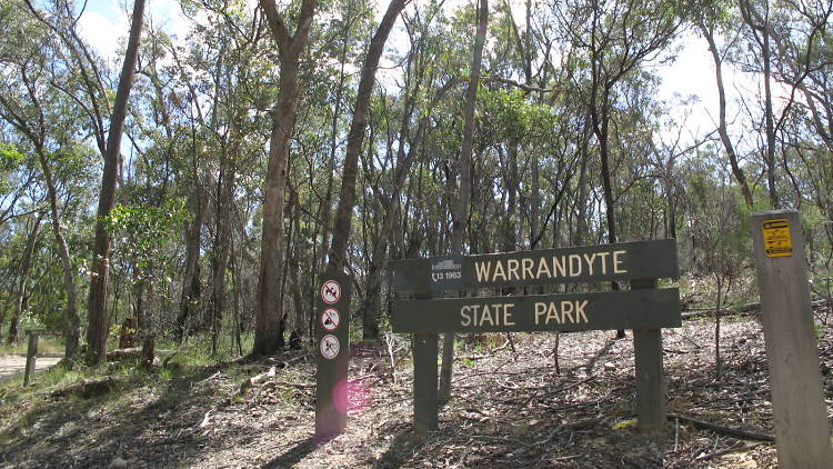 Blue Tongue Bend, Warrandyte State Park