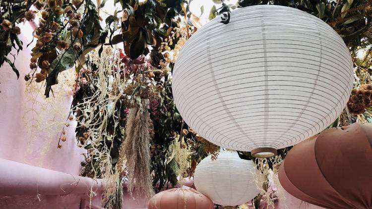 Lámparas de papel en jardín con paredes rosas