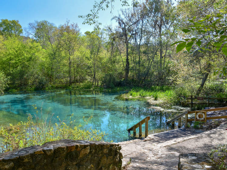 The best natural springs near Miami for a refreshing swim