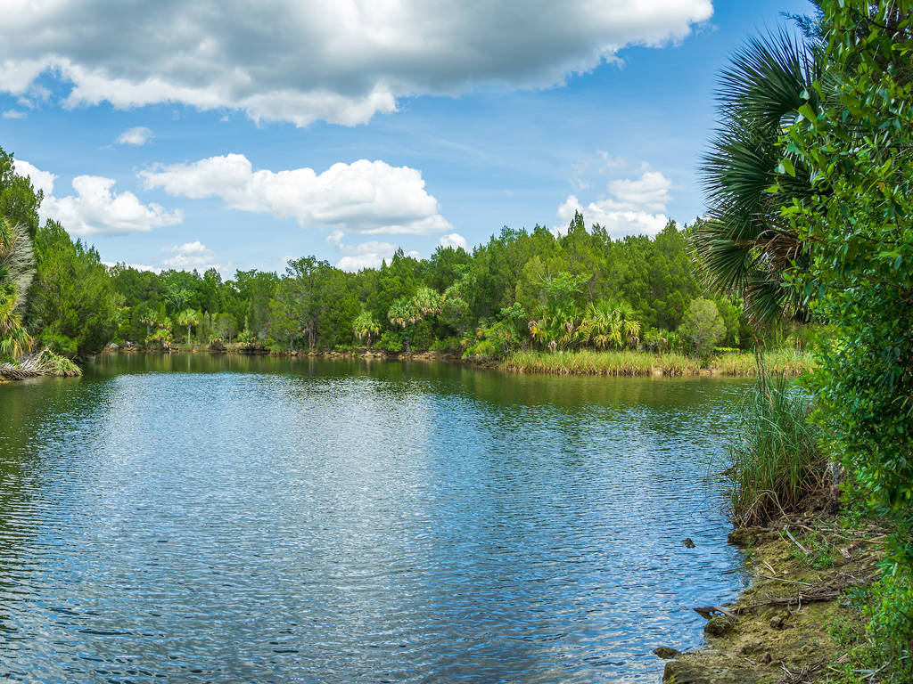 12 Natural Springs Near Miami for a Cooling Summer Swim
