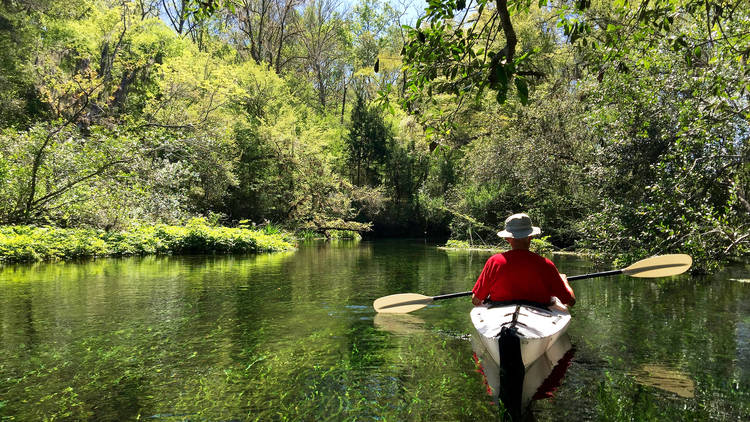 Ichetucknee Springs State Park