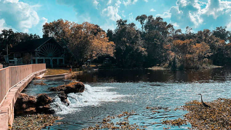 Ponce de Leon State Park