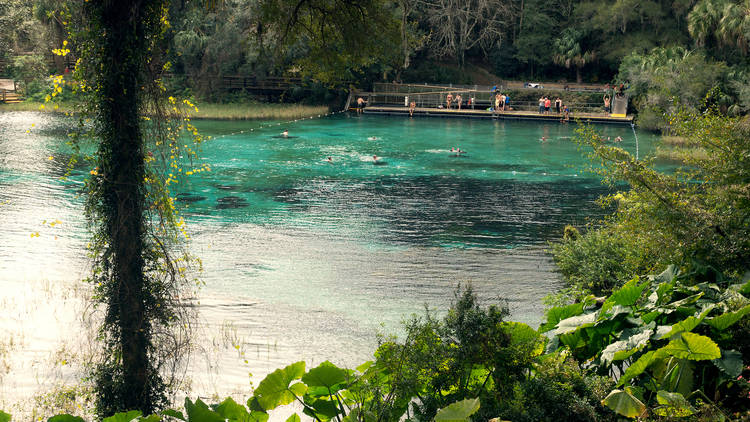 Rainbow Springs State Park