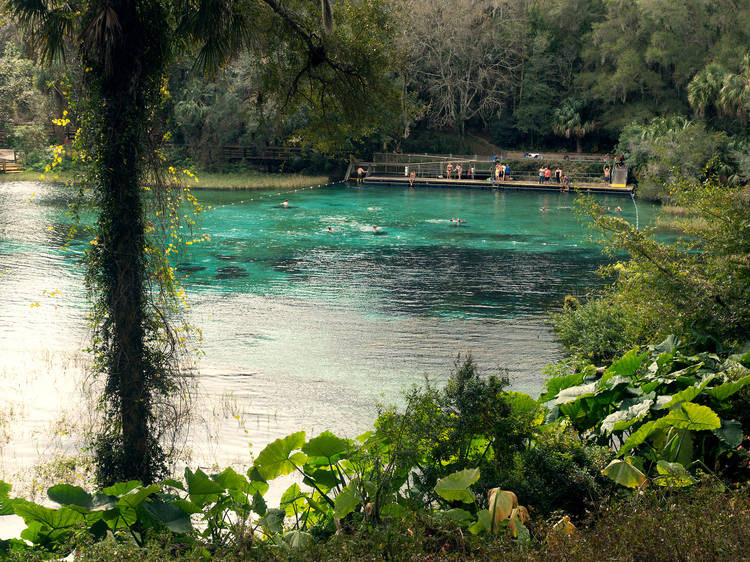 12 Natural Springs Near Miami for a Refreshing Dip in the Great