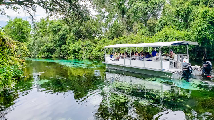 Weeki Wachee Springs State Park