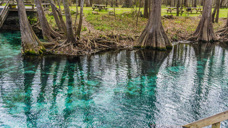 Wekiwa Springs State Park