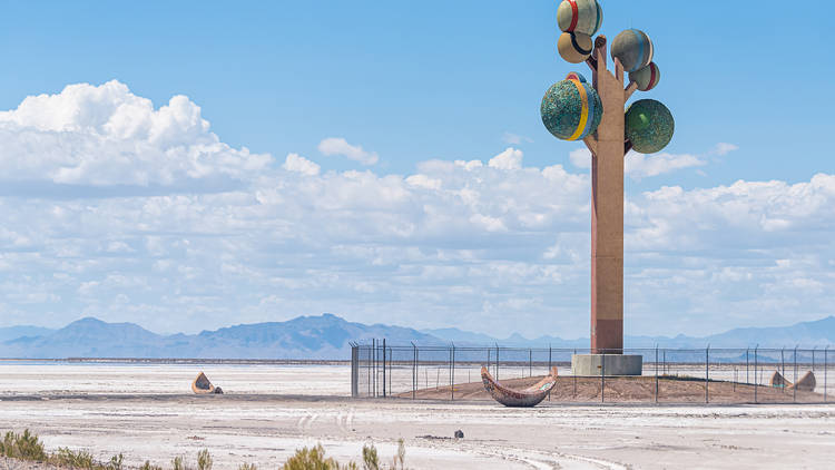 Metaphor: The Tree of Utah Bonneville Salt Flats, UT