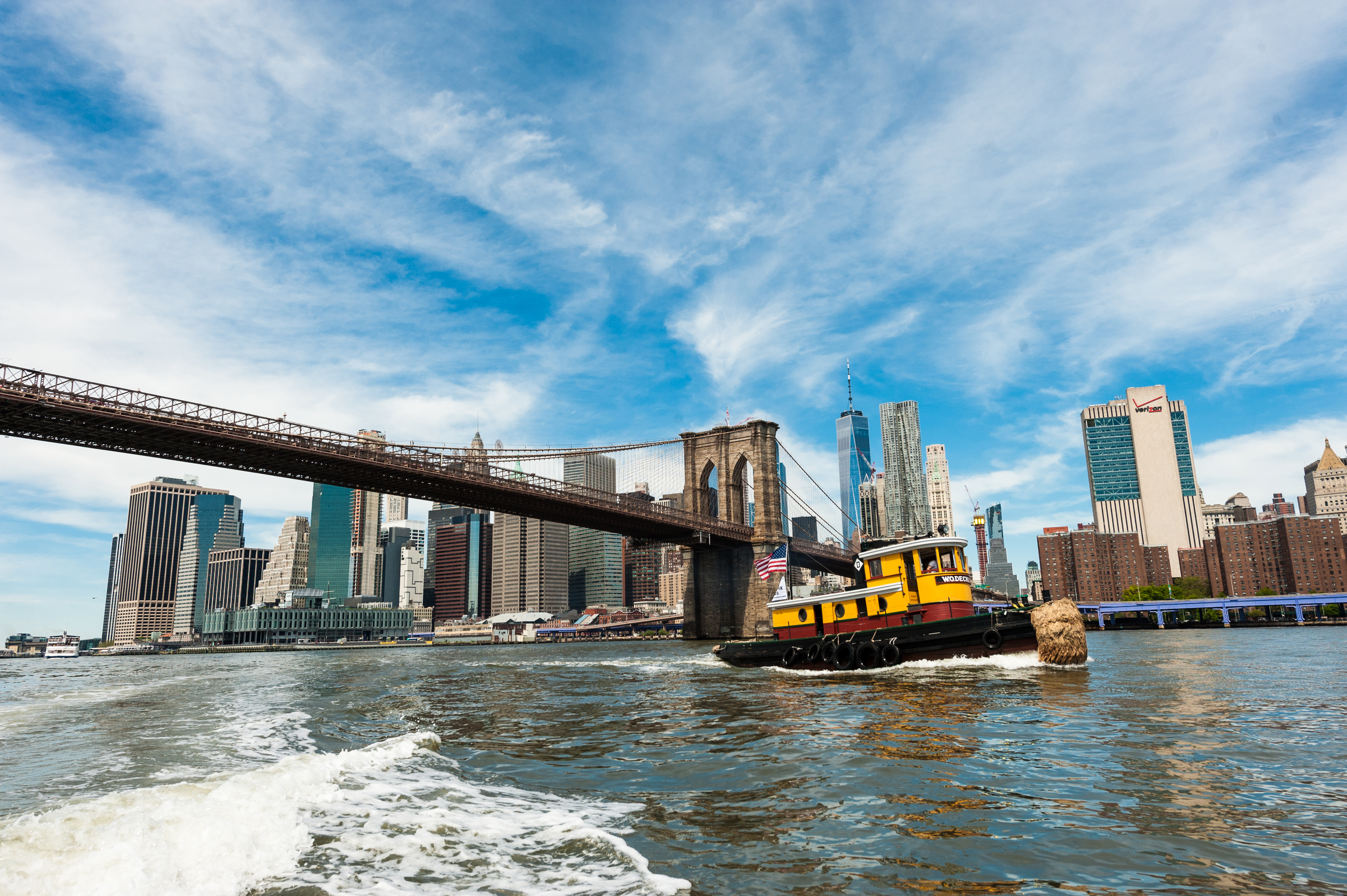 are dogs allowed in new york ships