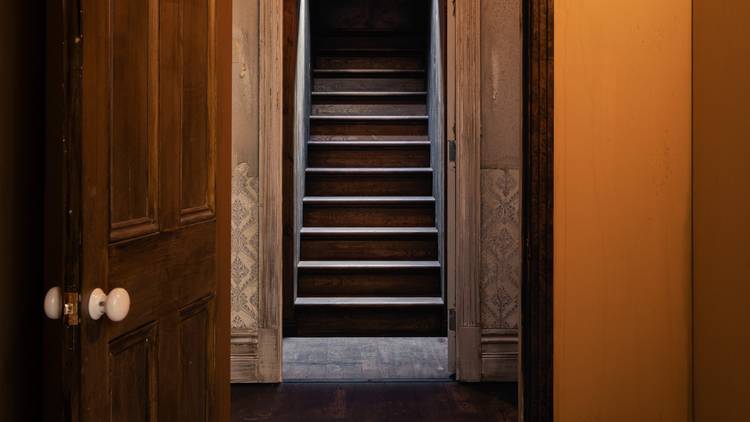 A door opens to reveal a wooden staircase