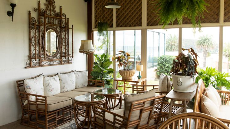 A light sunny room with cane furniture and hanging plants