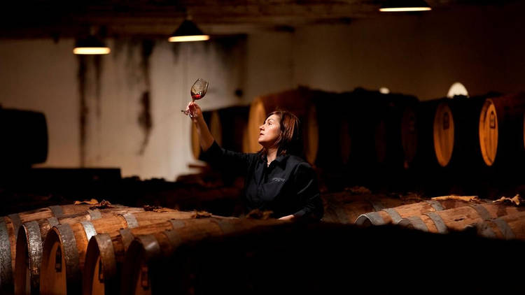 A vigneron checks the wine in a cellar full of barrels