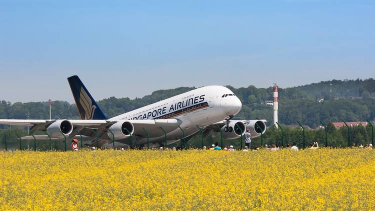 Singapore Airlines 