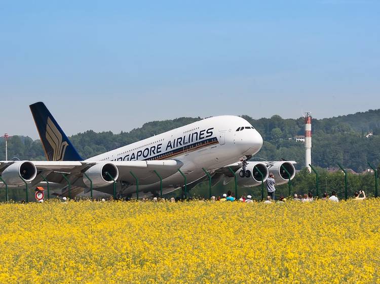 Leisure travel is slated to return from early September – only if you're vaccinated