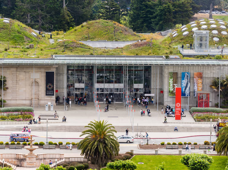 14 Best Museums In San Francisco To