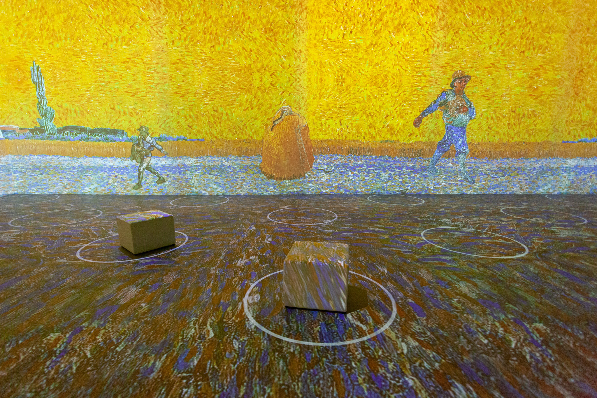 Immersive Van Gogh