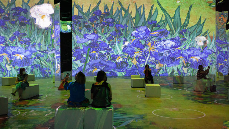 Immersive Van Gogh