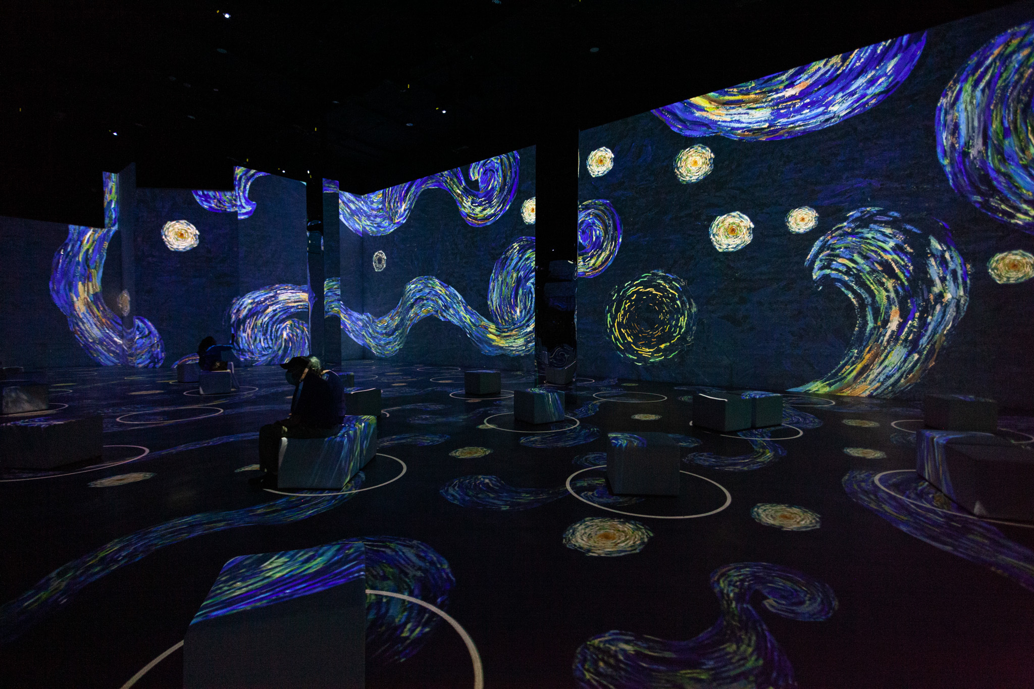 Immersive Van Gogh