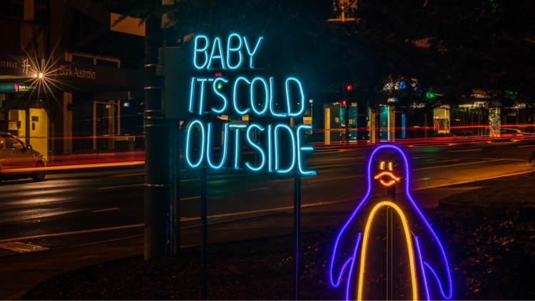  Neon sign and a neon penguin