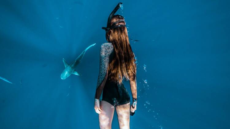 Make a splash with freediving