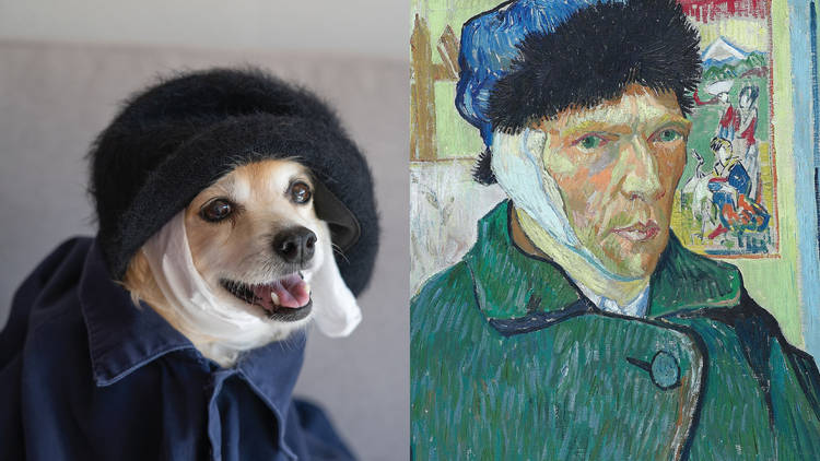 A dog dressed up to recreate a Van Gogh self portrait