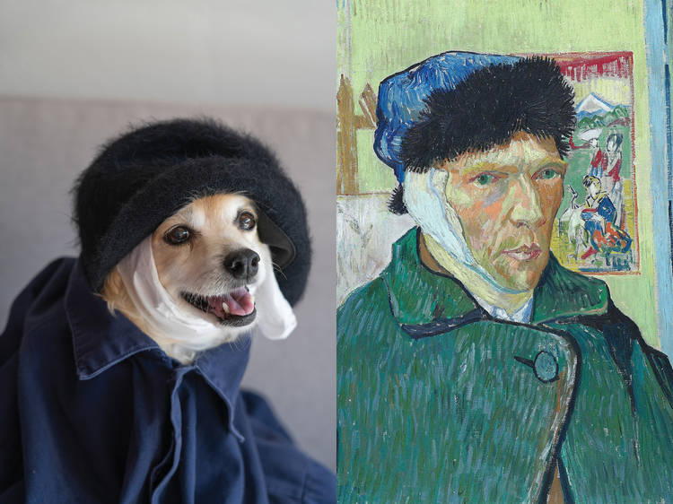 A dog dressed up to recreate a Van Gogh self portrait