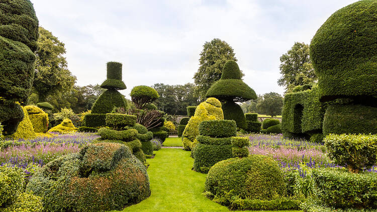 Levens Hall Gardens, Cumbria