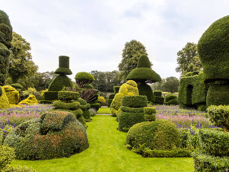 Levens Hall Gardens, Cumbria