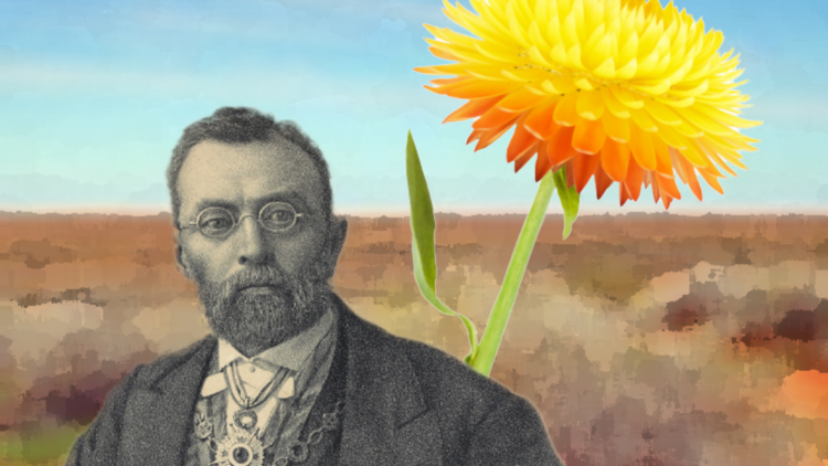 A painting of Baron Ferdinand von Mueller with a flower in the background. 