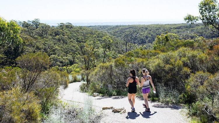 Hike from Waterfall Gully to Mount Lofty