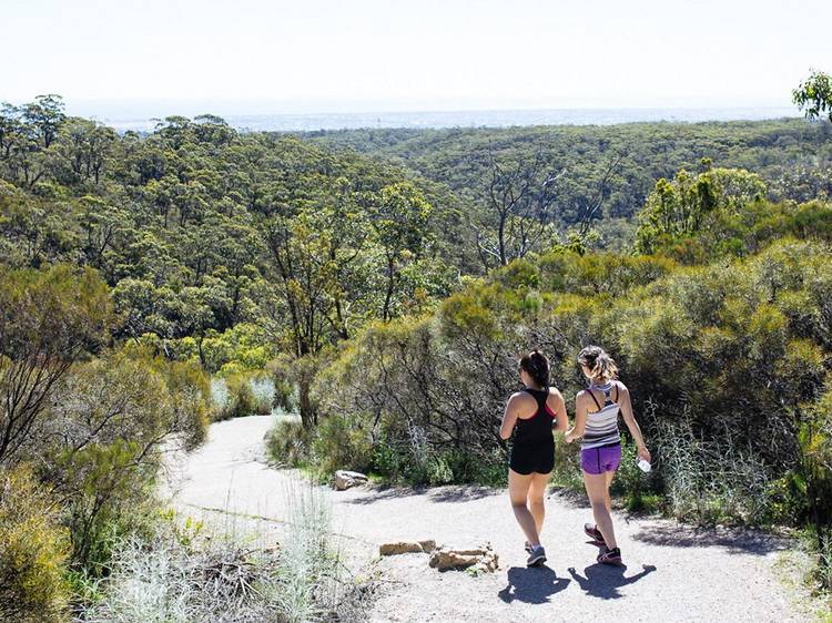 Hike from Waterfall Gully to Mount Lofty