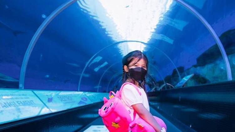 S.E.A. Aquarium