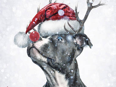 ‘Rudolph the Red Nosed Reindeer’ by DMX