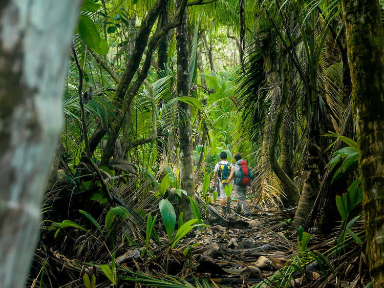 Corcovado, Costa Rica