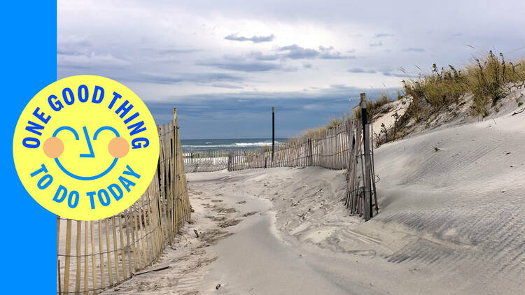 Walk through natural formed dunes by the ocean