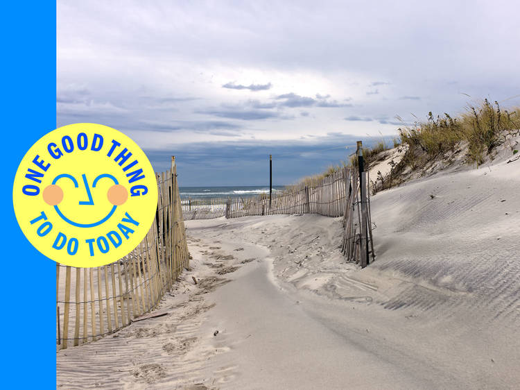 Walk through natural formed dunes by the ocean