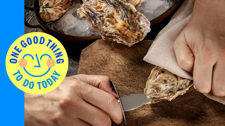 Shuck your own oysters on the North Fork
