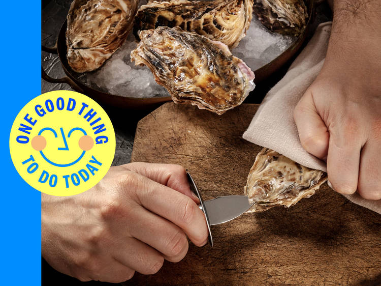 Shuck your own oysters on the North Fork