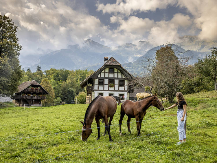 5 fabulous reasons to visit Ballenberg open-air museum this autumn 5 fabulous reasons to visit Ballenberg open-air museum this autumn