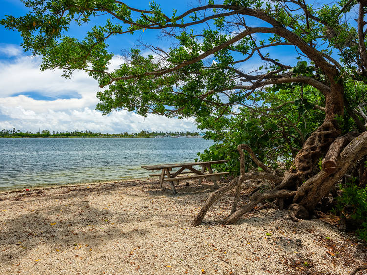 Oleta River State Park