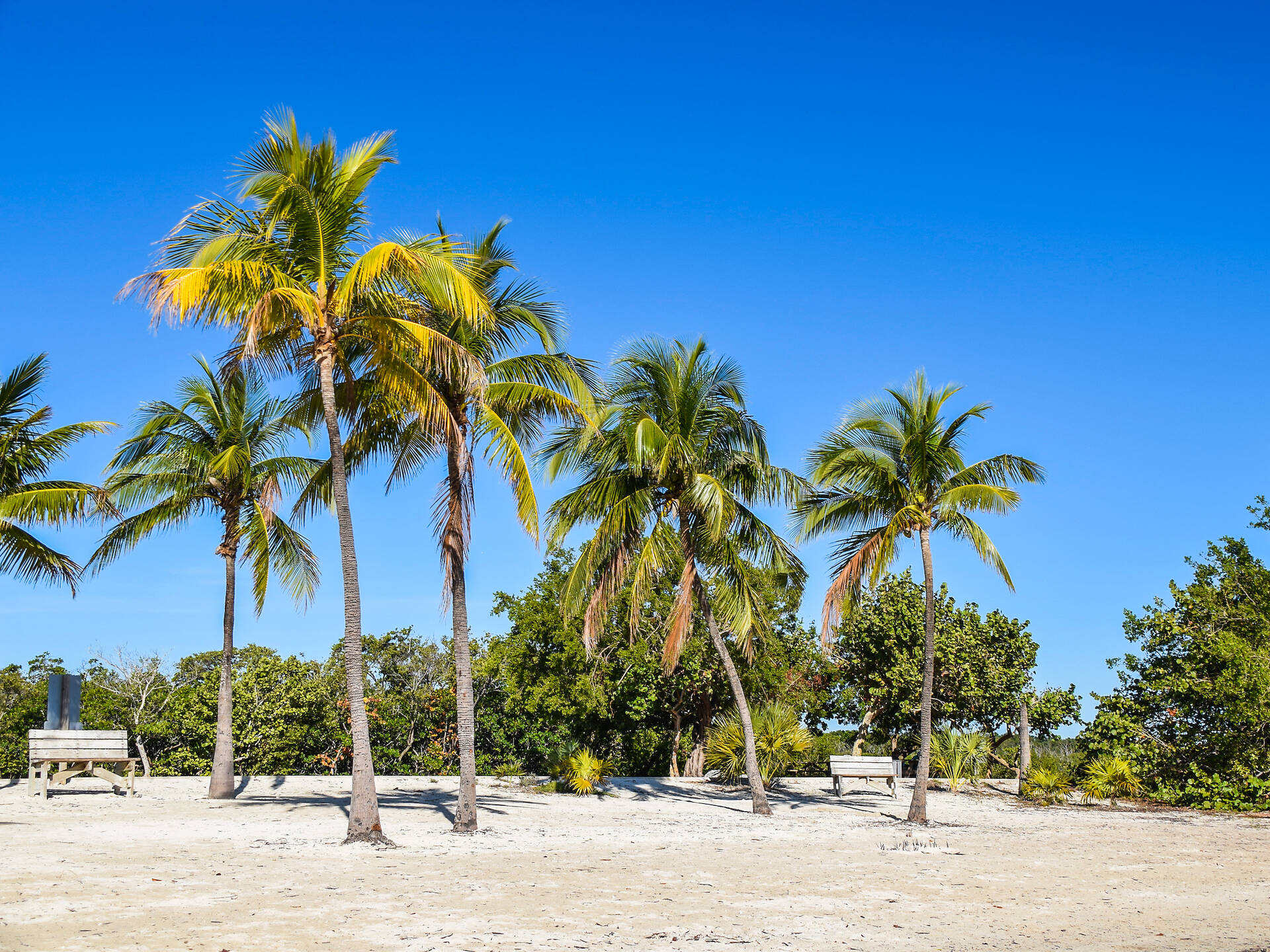 7-best-things-to-do-in-key-largo