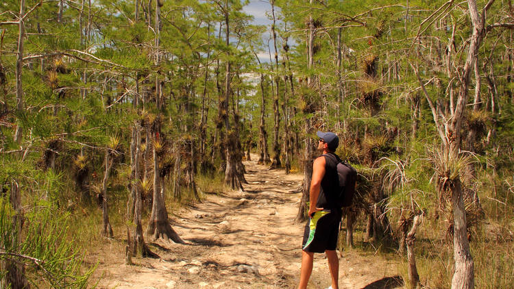 Big Cypress National Preserve