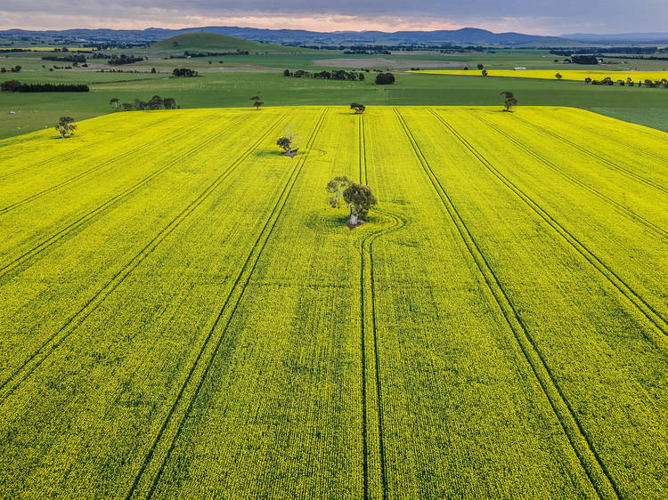 Win a two-night getaway to Daylesford and the Macedon Ranges Win a two-night getaway to Daylesford and the Macedon Ranges