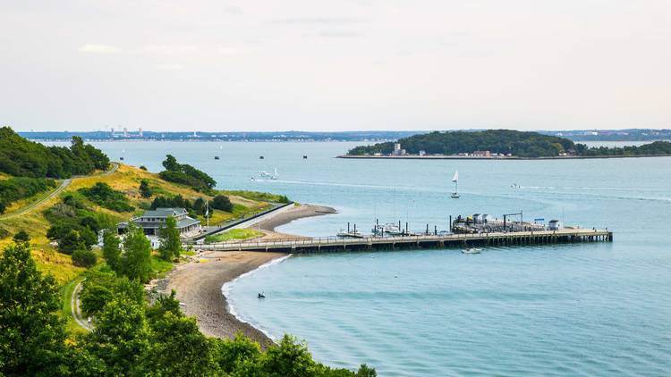 Spectacle Island Boston Harbor